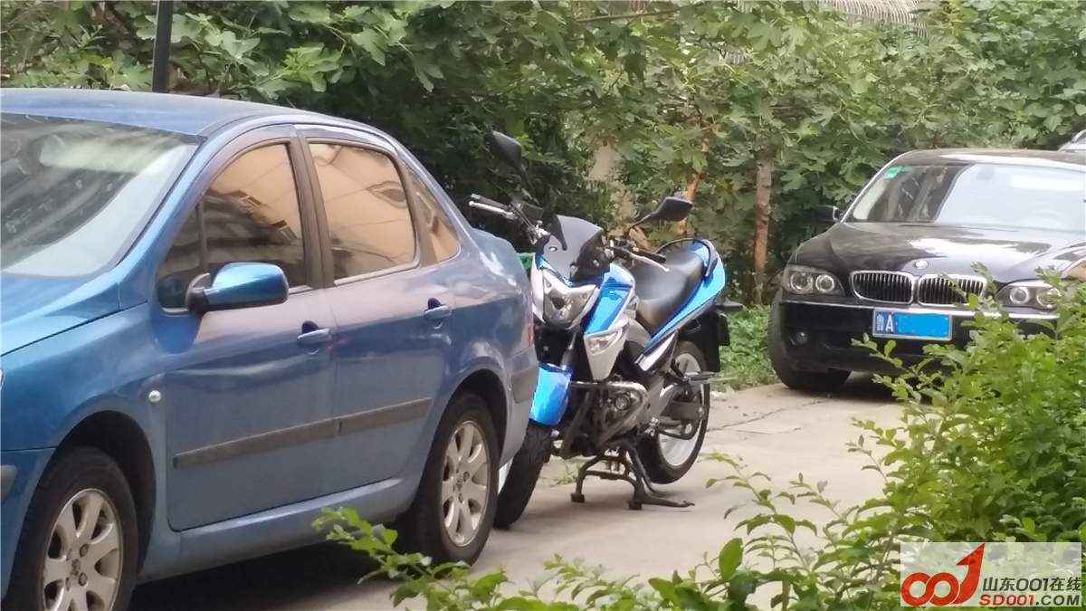 ����͵͵����