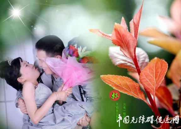 �仨���� �������飨�����ѣ��仨���飩