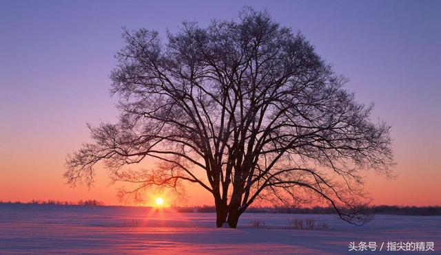 61750003cbe75f3e2776