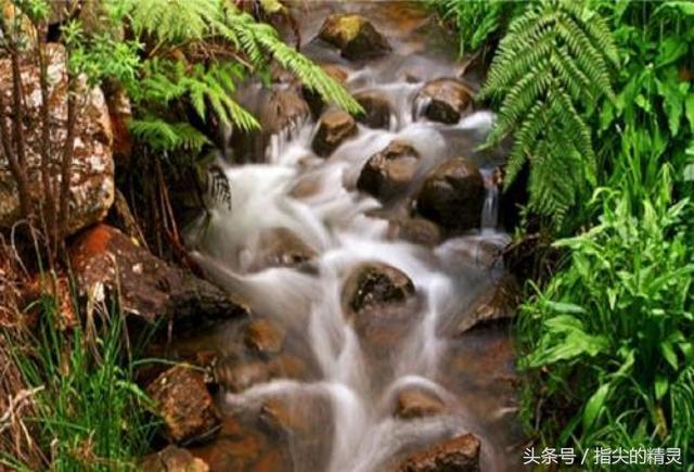 66a700019af54aa9e520