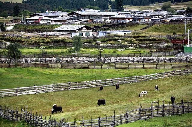 ���ߴ������ܽ᣺�������� ��Ҫ�Ǿ��������ʵ�׼��-28.jpg