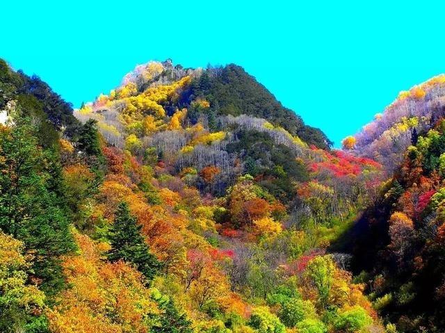 ɶܱ벻һͿı﹵ﾰ-1.jpg