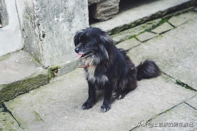 ��ĩ΢���У� �㶫С�ڣ�����ӵĹ��򣬳���ص���С��-26.jpg