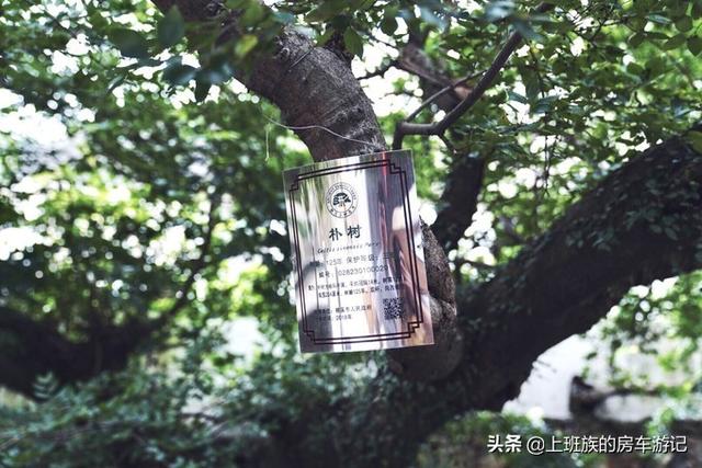 ��ĩ΢���У� �㶫С�ڣ�����ӵĹ��򣬳���ص���С��-31.jpg