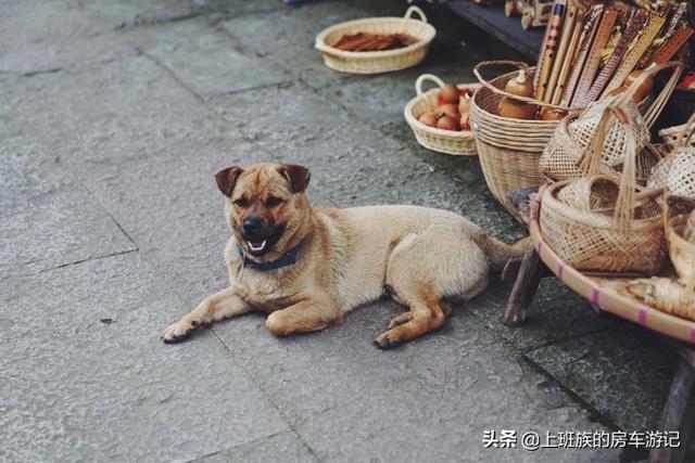 ��ĩ΢���У� �㶫С�ڣ�����ӵĹ��򣬳���ص���С��-27.jpg