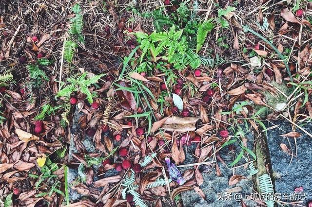 ��ĩ΢���У� �㶫С�ڣ�����ӵĹ��򣬳���ص���С��-94.jpg