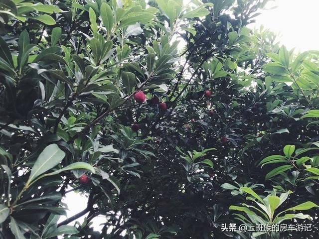 ��ĩ΢���У� �㶫С�ڣ�����ӵĹ��򣬳���ص���С��-95.jpg