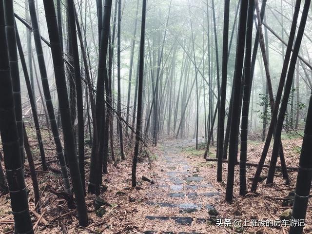 ��ĩ΢���У� �㶫С�ڣ�����ӵĹ��򣬳���ص���С��-98.jpg