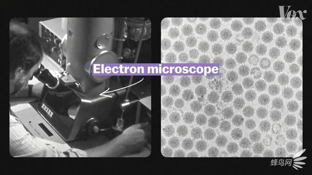 ������������ ������΢��Ƭ���������ģ�-3.jpg