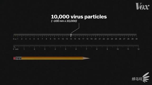 ������������ ������΢��Ƭ���������ģ�-1.jpg