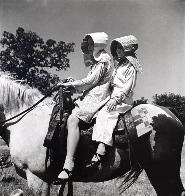 ˵���ձ���Ӱ��ʦ���������ɭɽ�����ľ��Ω | ��������Ӱ��-4.jpg