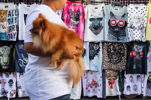 ������Ӱ ���רҵ��Ӱʦ֮��Ͳ��⼸������-9.jpg