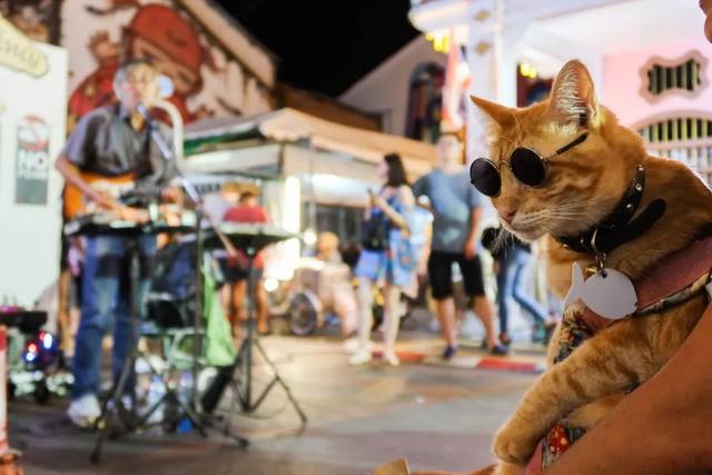 ������Ӱ ���רҵ��Ӱʦ֮��Ͳ��⼸������-8.jpg