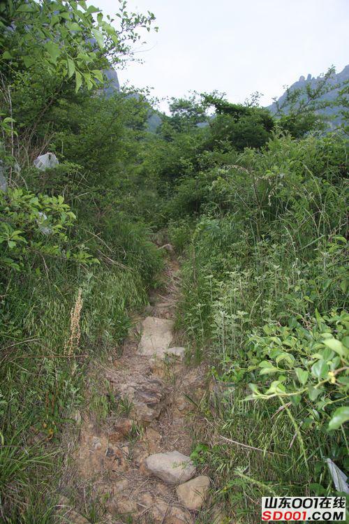 ����ͨ��