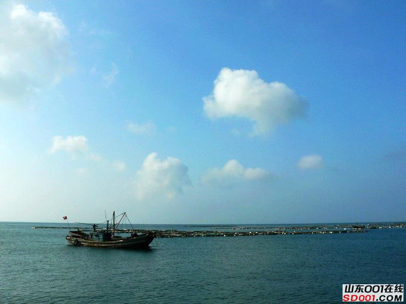 ���Ͽ���