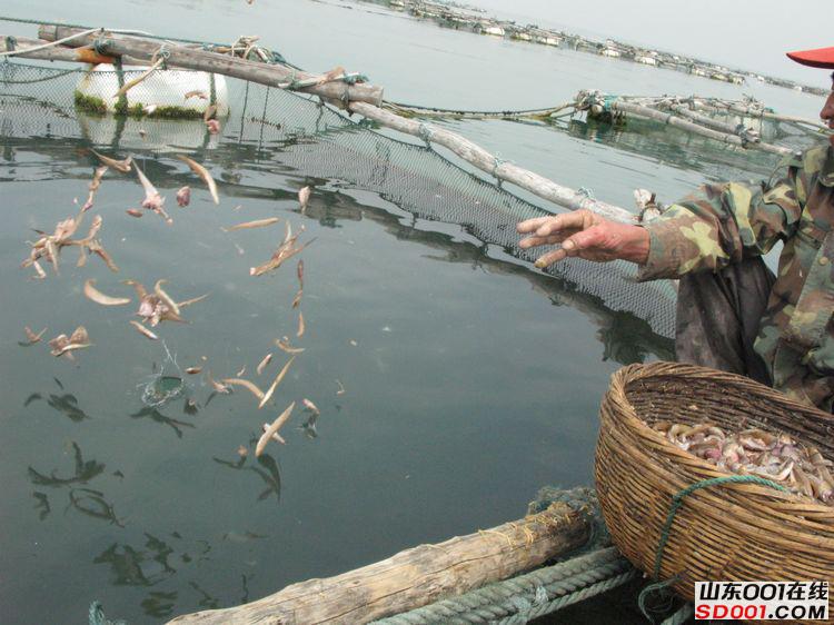 ����ι�㣬����Ҳ��