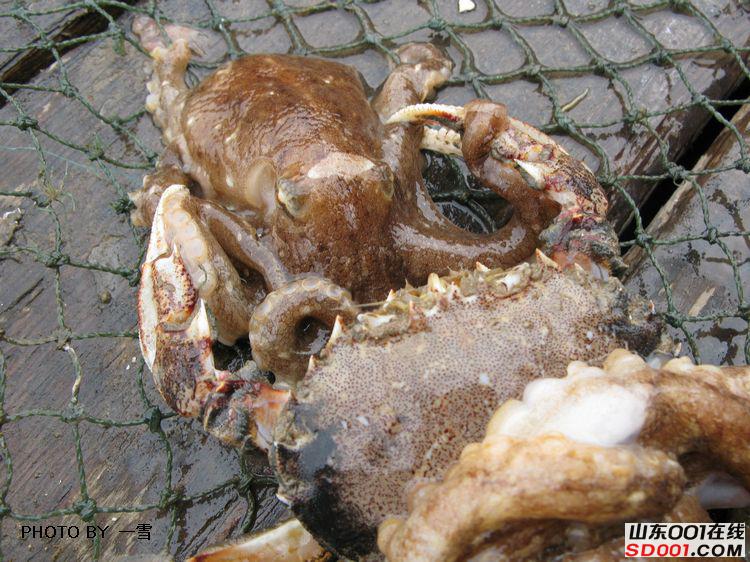 nEO_IMG_��Ƭ 020.jpg