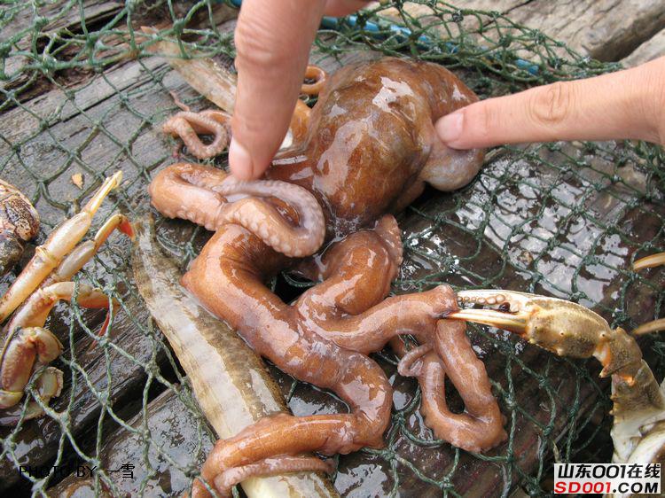 nEO_IMG_��Ƭ 030.jpg