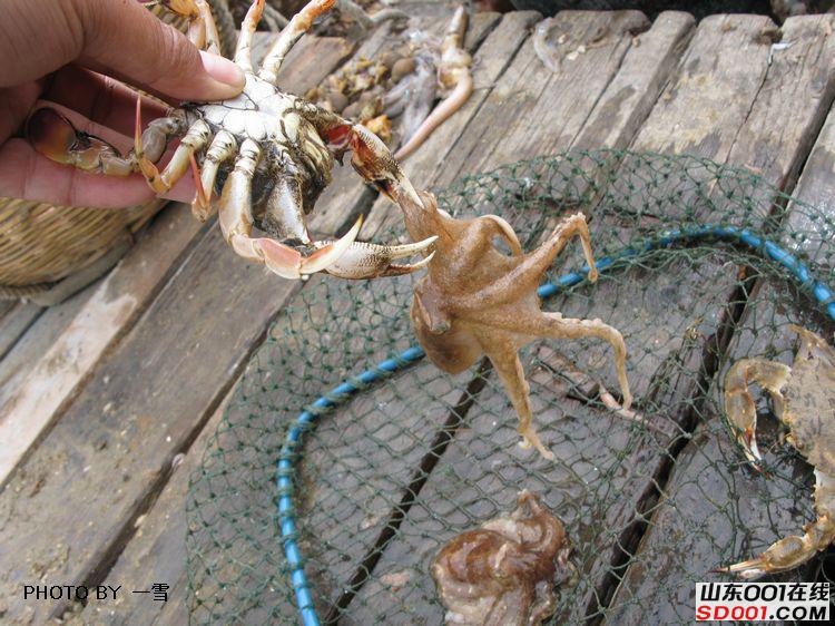 nEO_IMG_��Ƭ 023.jpg