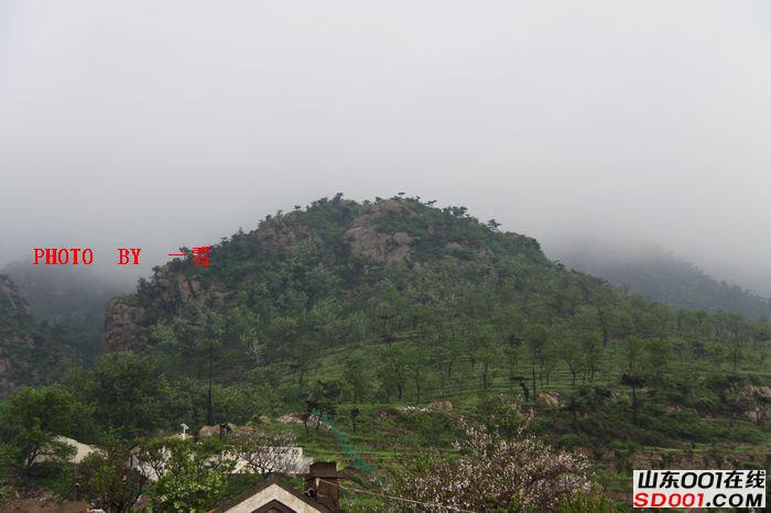 nEO_IMG_��Ƭ 012.jpg