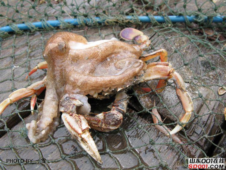 nEO_IMG_��Ƭ 028.jpg