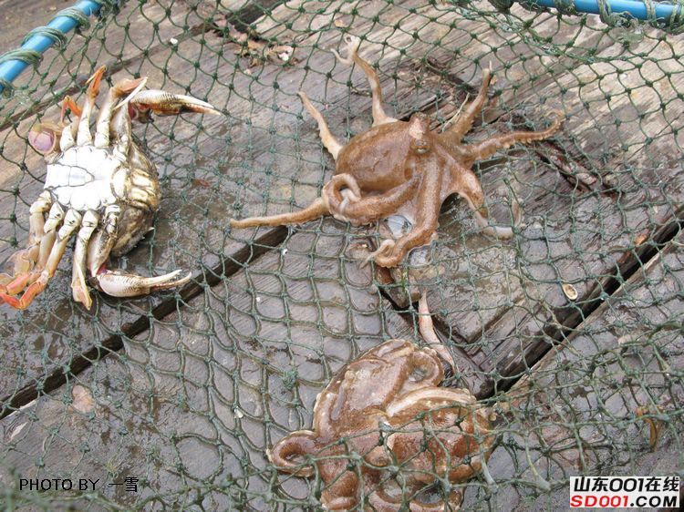 nEO_IMG_��Ƭ 019.jpg