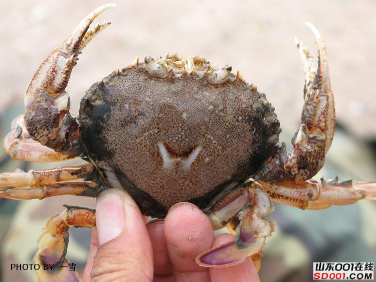 nEO_IMG_��Ƭ 016.jpg