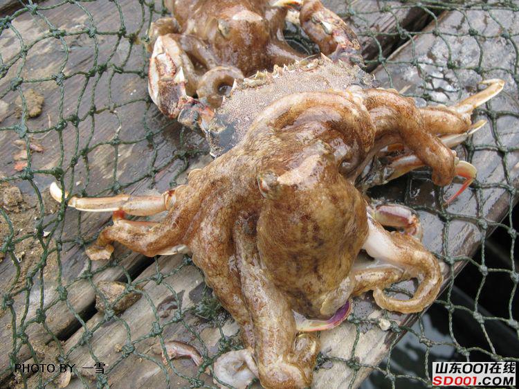 nEO_IMG_��Ƭ 021.jpg