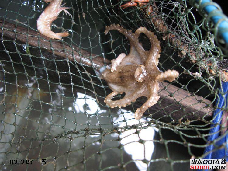 nEO_IMG_��Ƭ 011.jpg