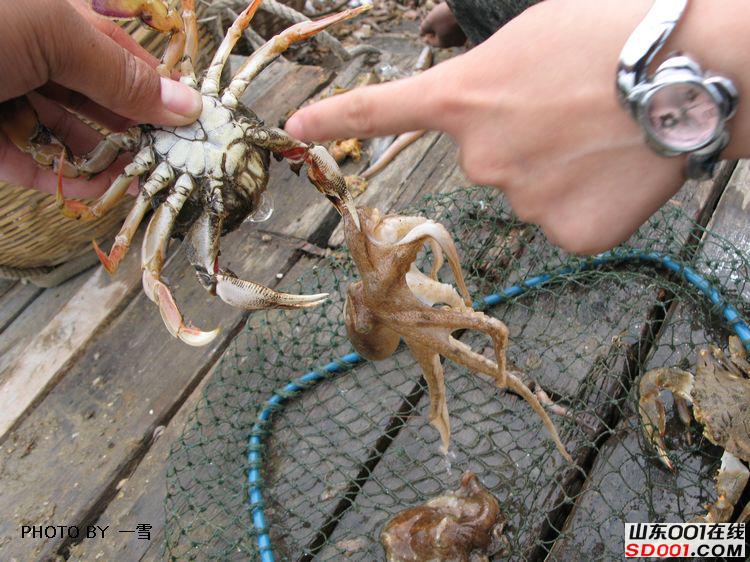 nEO_IMG_��Ƭ 022.jpg