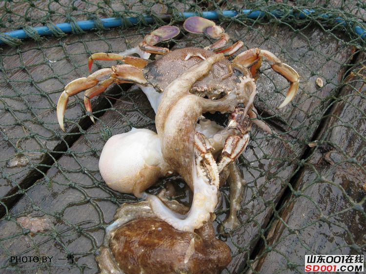 nEO_IMG_��Ƭ 027.jpg