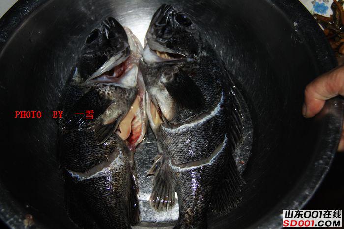 nEO_IMG_��Ƭ 019.jpg