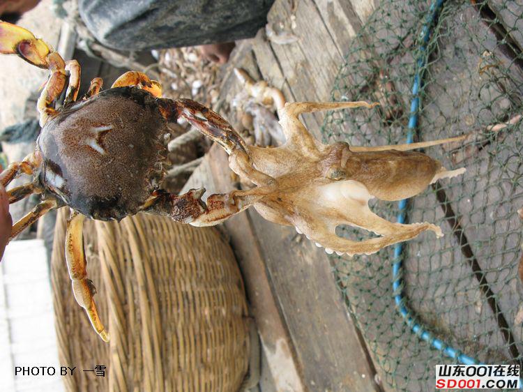 nEO_IMG_��Ƭ 025.jpg