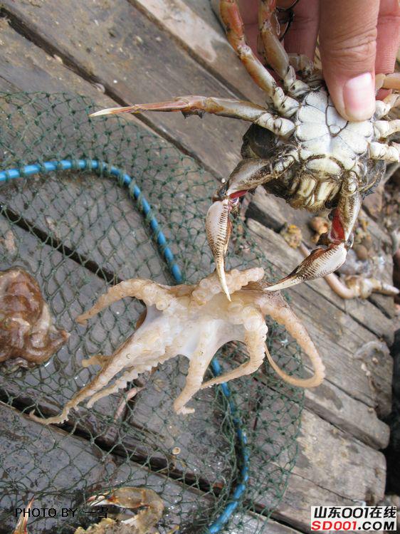 nEO_IMG_��Ƭ 024.jpg